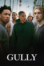 Gully (2021) Dual Audio [Hindi & English] Full Movie Download | BluRay 480p 720p 1080p