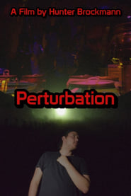 Image de Perturbation