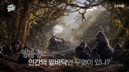 Episode 83