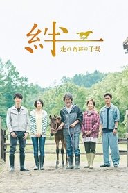 Poster Ties: A Miraculous Colt 2017