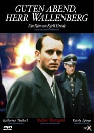 Poster Guten Abend, Herr Wallenberg