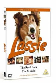 Poster Lassie – Allein in der großen Stadt