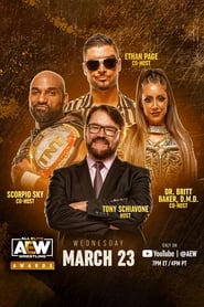 Full Cast of AEW Awards