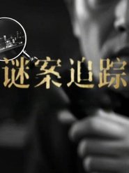 Poster for 谜案追踪