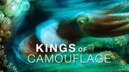 Kings of Camouflage