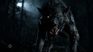 The Legend of the Werewolf