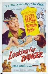 Looking for Danger poster