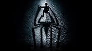 The Amazing Spider-Man en streaming