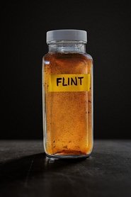 Flint постер