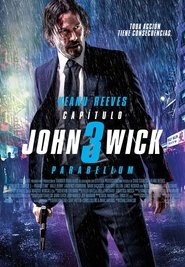 John Wick: Capítulo 3 – Parabellum