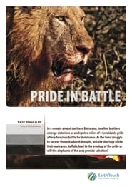 Poster Pride in Battle