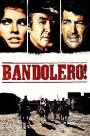 Bandolero! постер