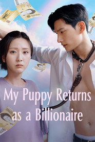 My Puppy Returns as a Billionaire