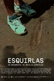 Esquirlas (2020)