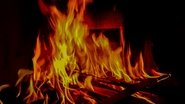 Chamas da Paixão en streaming