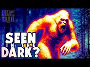Seen in the Dark? The Sasquatch Surveillance Project