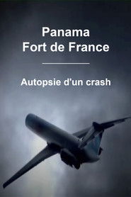 Panama - Fort de France : Autopsie d'un crash (2010)