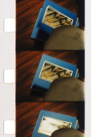 Reel in Colour #11