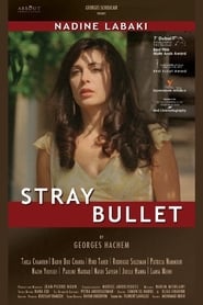 Stray Bullet постер