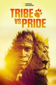 Poster Tribe vs Pride 2017