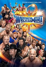 WWE Wrestlemania 33 (2017) WWE Wrestlemania 33 (2017)