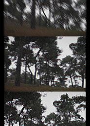 Çok Çekim Ölüler