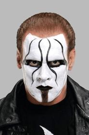 Steve Borden is Sting