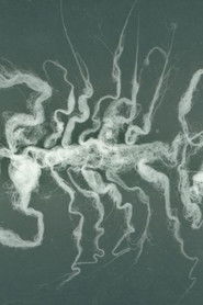 Ci sono gli spiriti (2009)