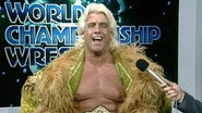 World Championship Wrestling - Mar. 01, 1986