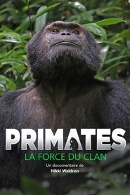 Primates, la force du clan
