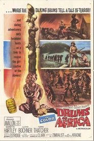 Drums of Africa Drums of Africa