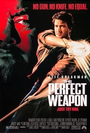 The Perfect Weapon 1991 Stream danish på hjemmesiden