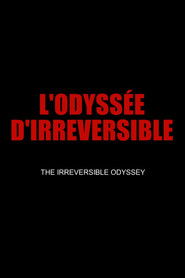 The Irreversible Odyssey