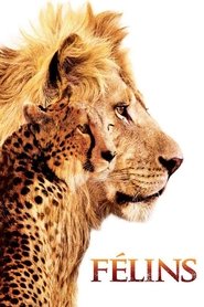 Félins en Streaming VF Complet en DVDRIP Félins en Streaming VF Complet en DVDRIP