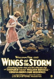 Wings of the Storm (1926)