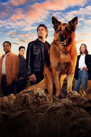 Season 9