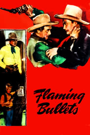 Poster Flaming Bullets