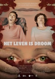 Poster Het leven is droom