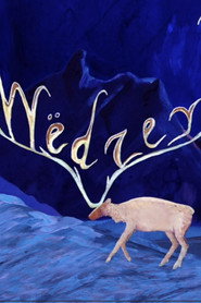 Midnight Migrations: Wëdzey Tąy (Caribou Trails)