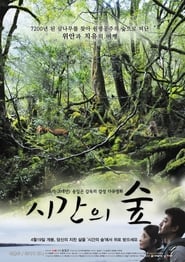 Poster 시간의 숲