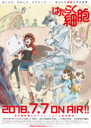 Cells at Work! Cells at Work! 16