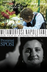 Poster Metamorfosi Napoletane 2017