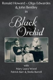 Poster Black Orchid