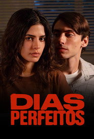Perfect Days постер
