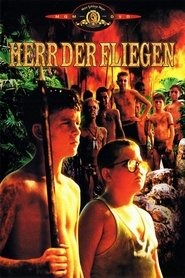 Herr·der·Fliegen·1990·Blu Ray·Online·Stream