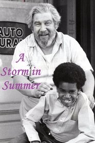 Poster A Storm in Summer 1970