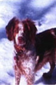 Poster Lou&iuml;e 2007