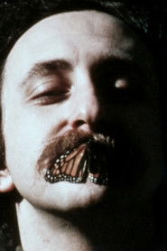 The True Light Beaver Film: After the Revolution