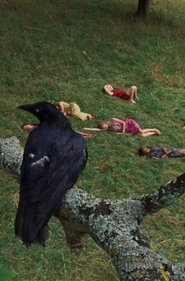 The Bird Game (2019)