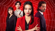 離婚弁護士 スパイダー
